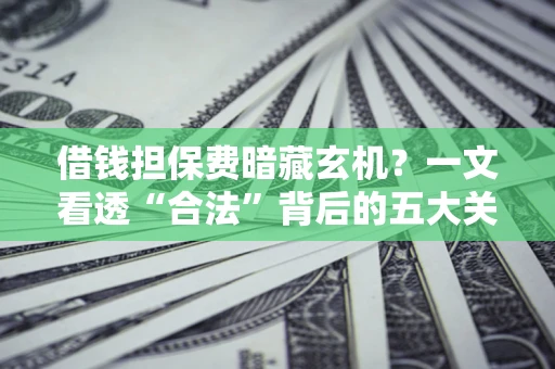 济南借钱担保费暗藏玄机？一文看透“合法”背后的五大关键陷阱