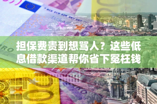济南担保费贵到想骂人？这些低息借款渠道帮你省下冤枉钱