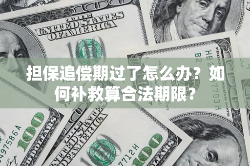 济南担保追偿期过了怎么办？如何补救算合法期限？