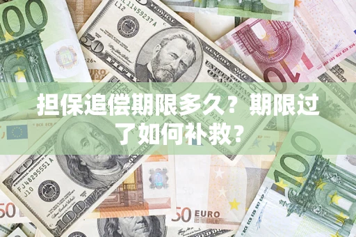 济南担保追偿期限多久？期限过了如何补救？