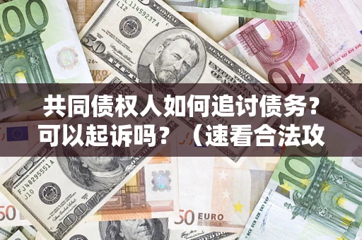 济南共同债权人如何追讨债务？可以起诉吗？（速看合法攻略）